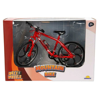 1/10 DAĞ BİSİKLETİ