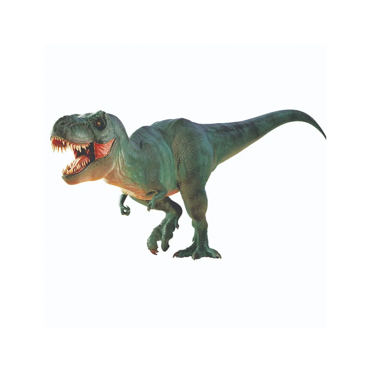 NAT06002 National Geographic Dino Kazı Kiti - RTNGDINO2 +8 yaş — görsel 3