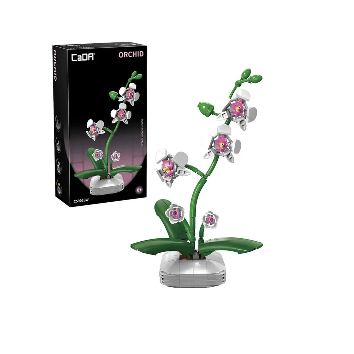 Cada Saksılı Orkide 237 Parça