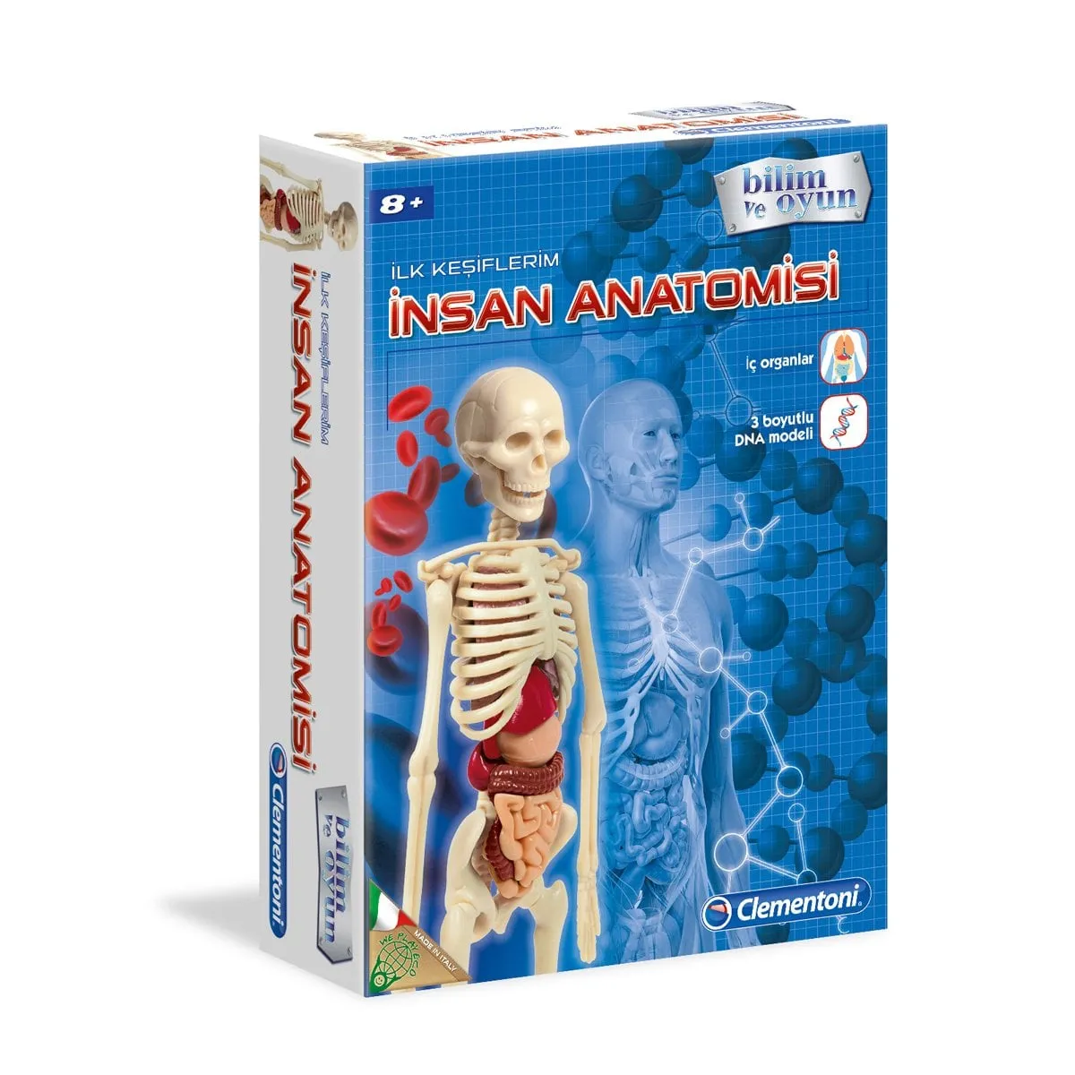 İnsan Anatomisi - Bilim ve Oyun +8 yaş
