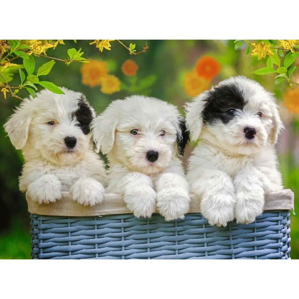 Cuddly Puppies 200 parça XXL Ravensburger Puzzle — görsel 2