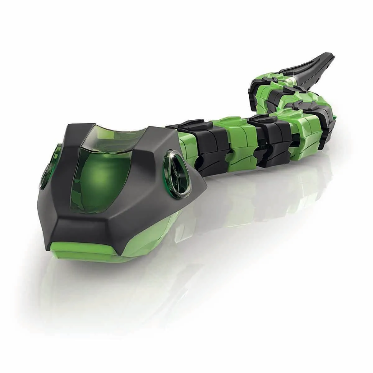 Slitherbot - Robotik Laboratuvarı +8 yaş — görsel 2
