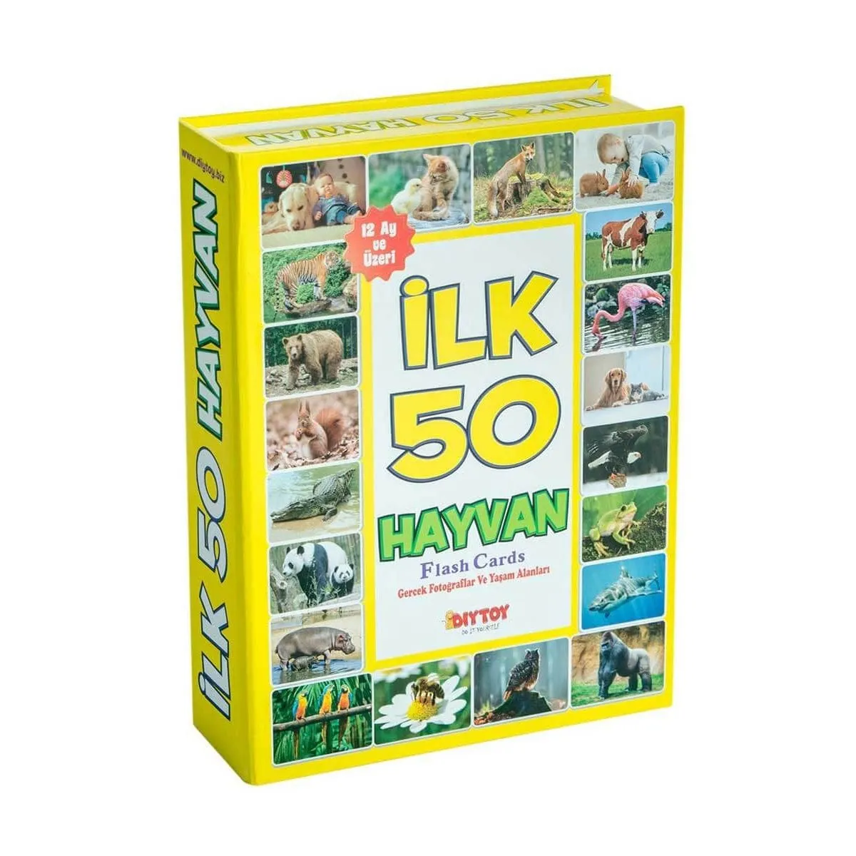 F.cards İlk 50 Hayvan