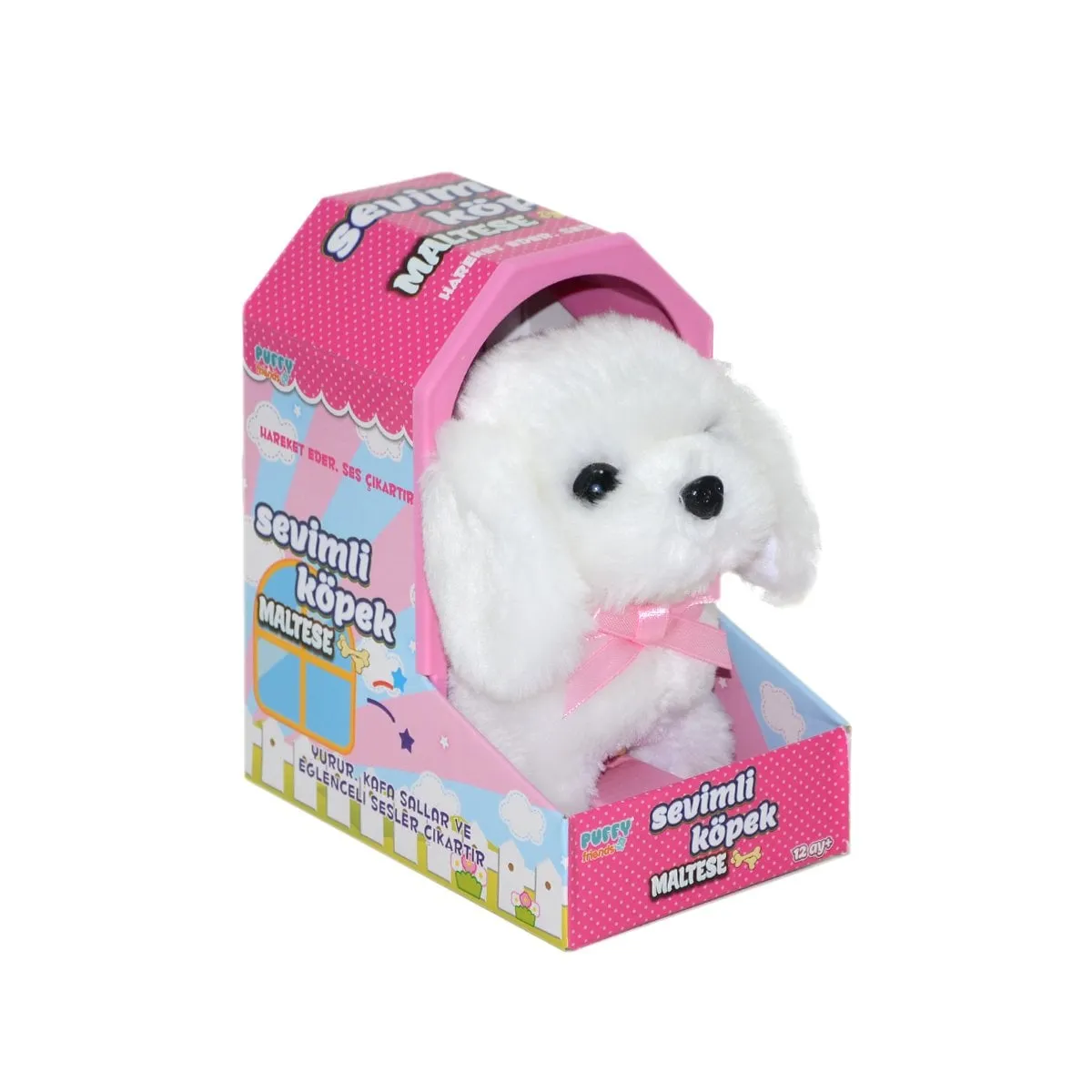 Sevimli Köpek Maltese -Sunman