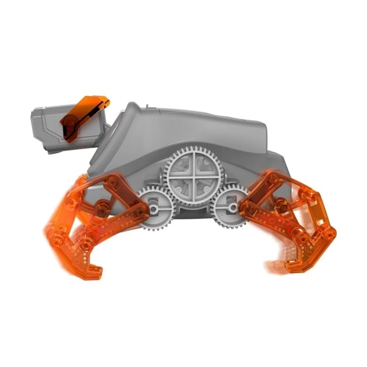 Robotik Laboratuvarı - Walkingbot +8 yaş — görsel 3