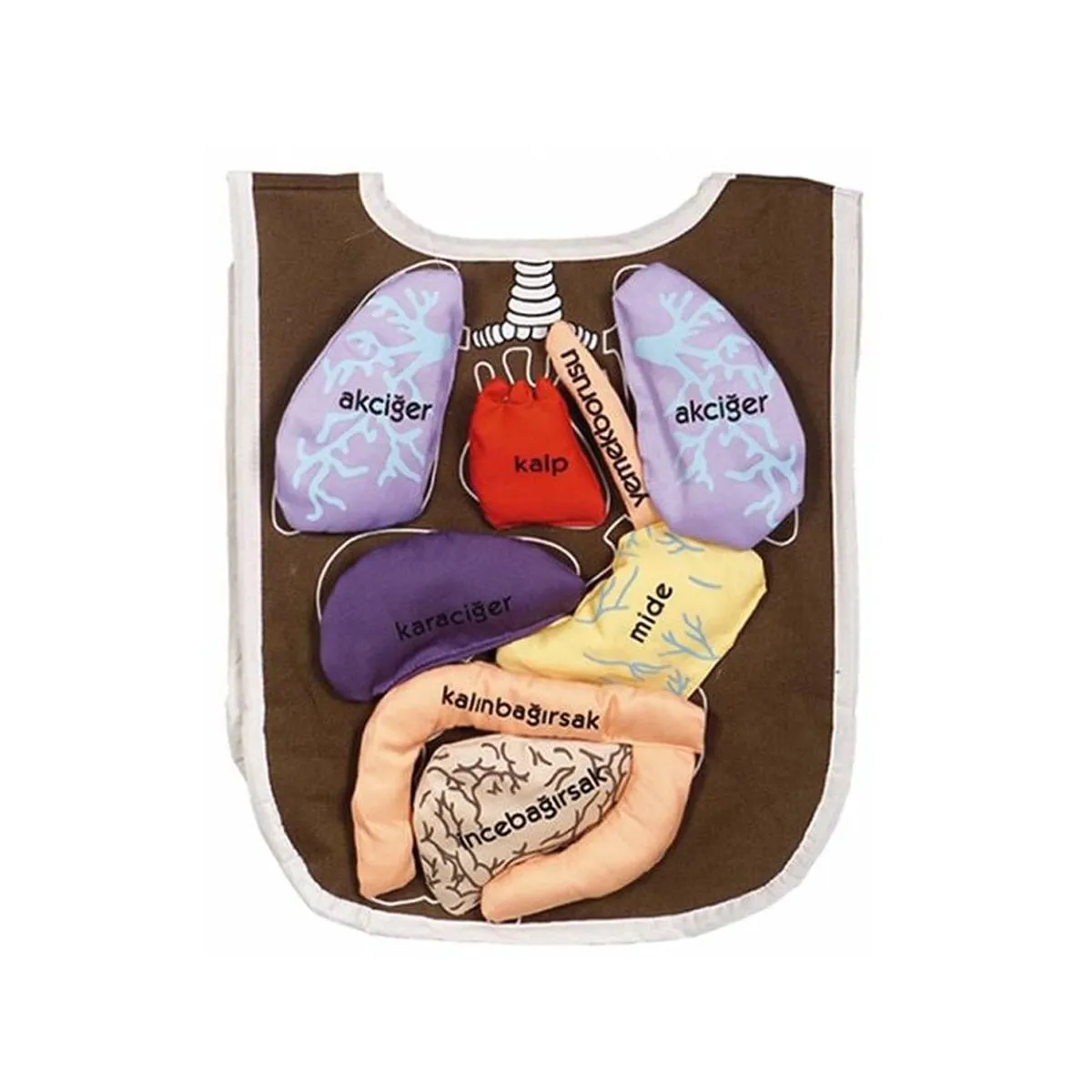 Organ Önlüğü — görsel 2