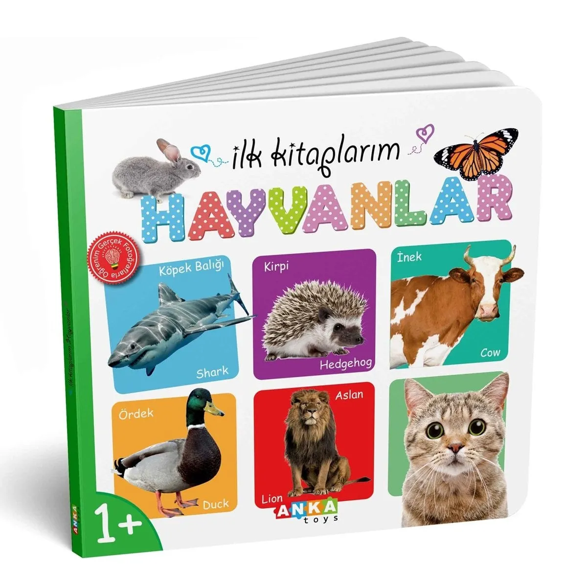 İlk Kitaplarım 6LI Set — görsel 5