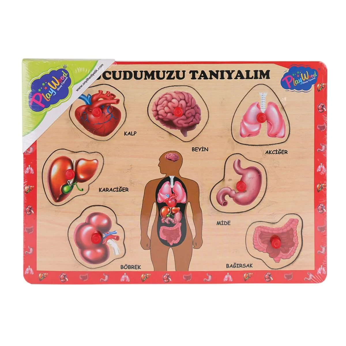 Onyıl Oyuncak Ahşap Tutmalı Vücudumuzu Tanıyalım