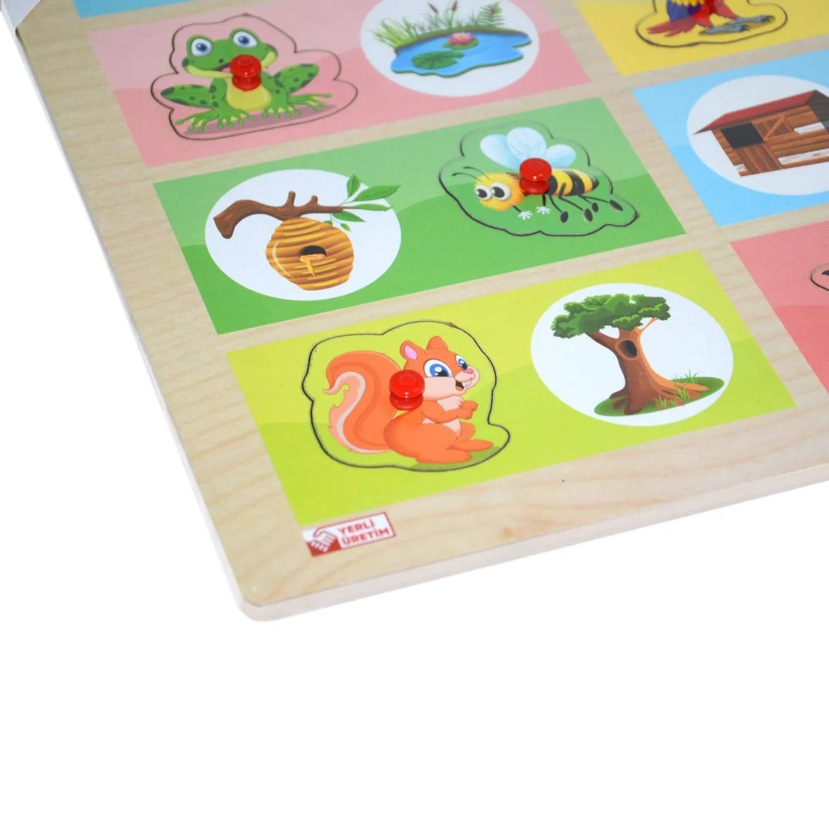 Onyıl Ahşap Tutmalı Eşleştirme Hangi Hayvan Nerede Yaşar — görsel 3