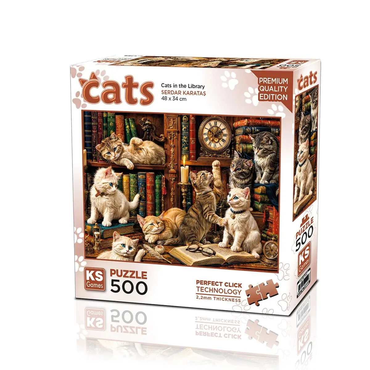 PUZZLE 500 CATS İN THE LİBRARY