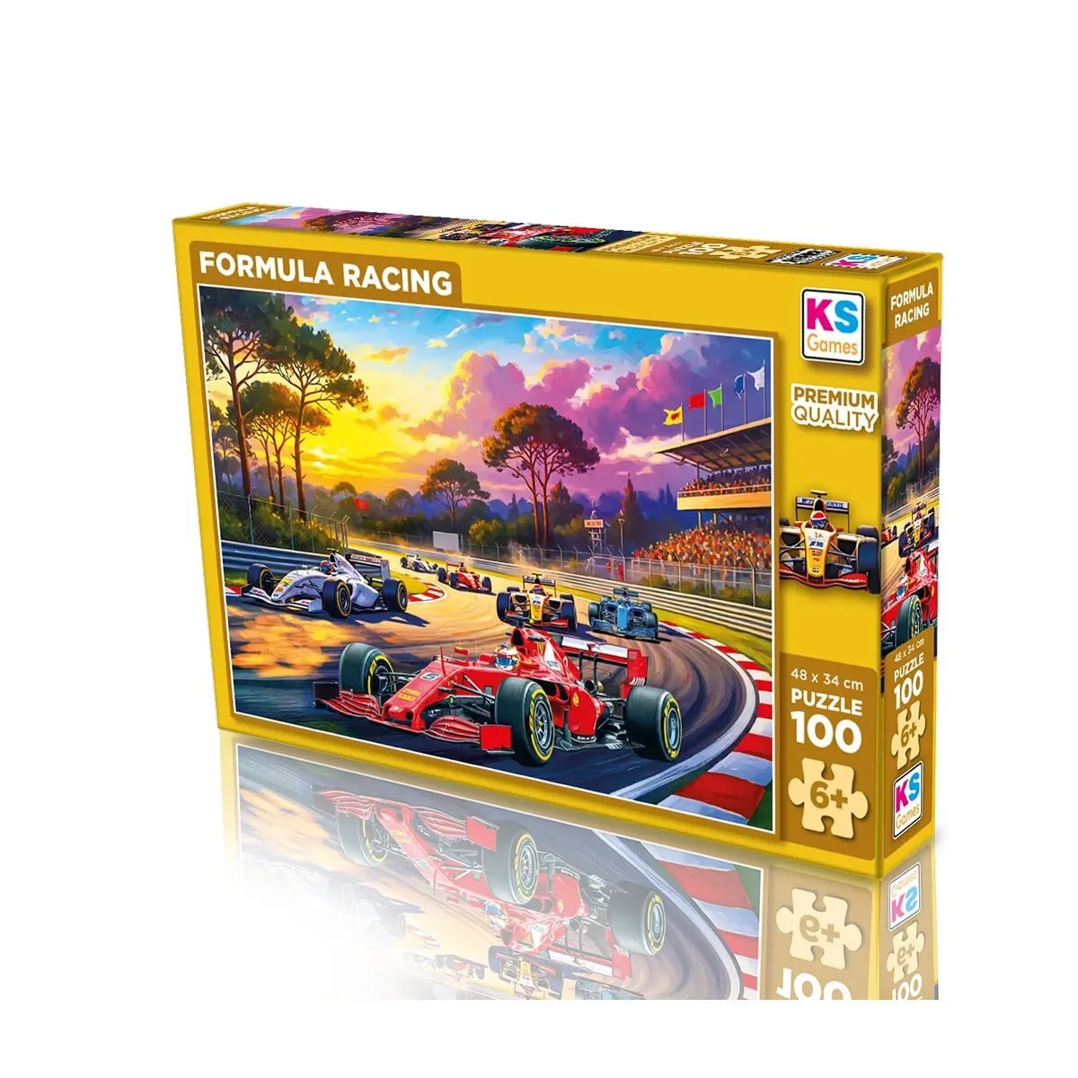 FORMULA RACING 100 PARÇA PUZZLE