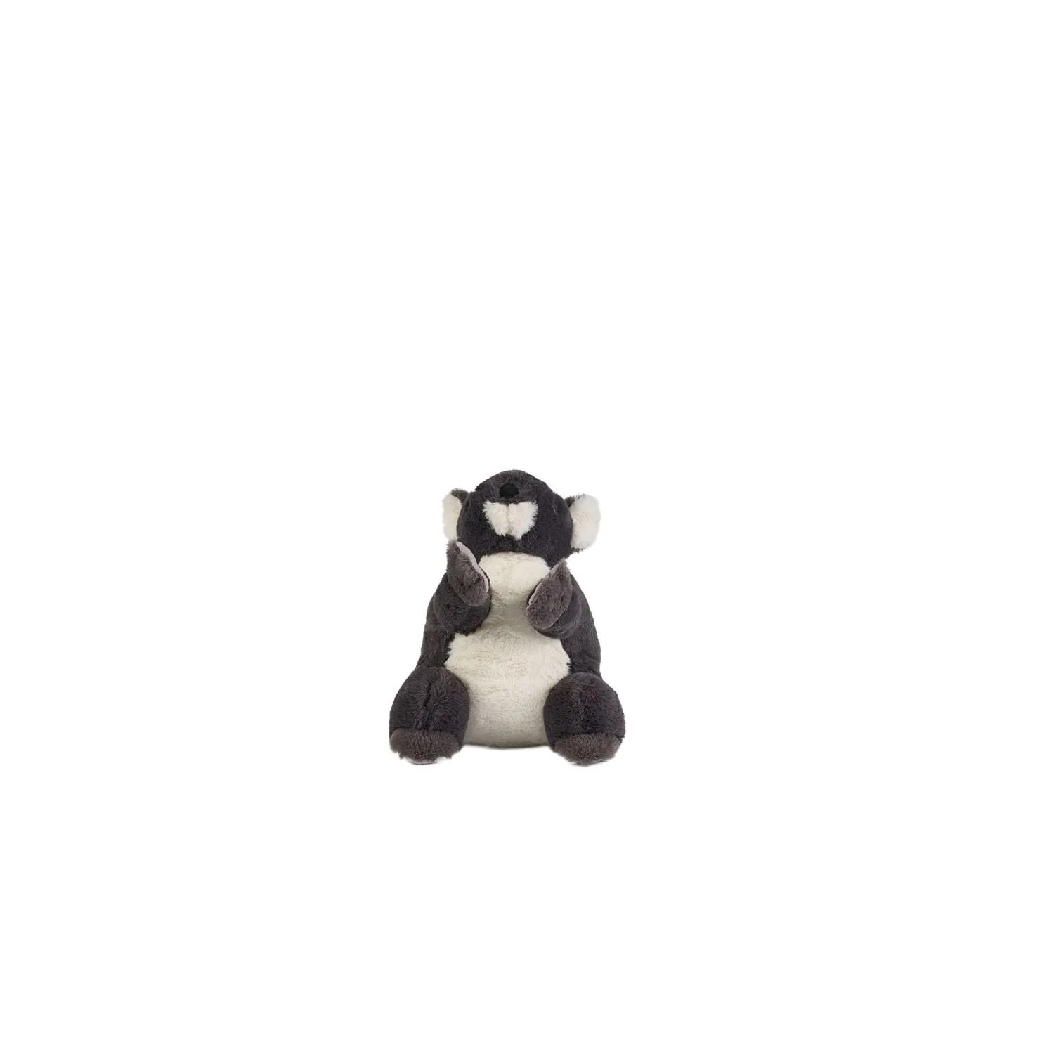 Gri Renk Koala