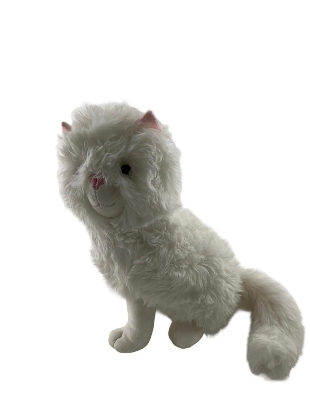 Puffy Oturan Beyaz Kedi