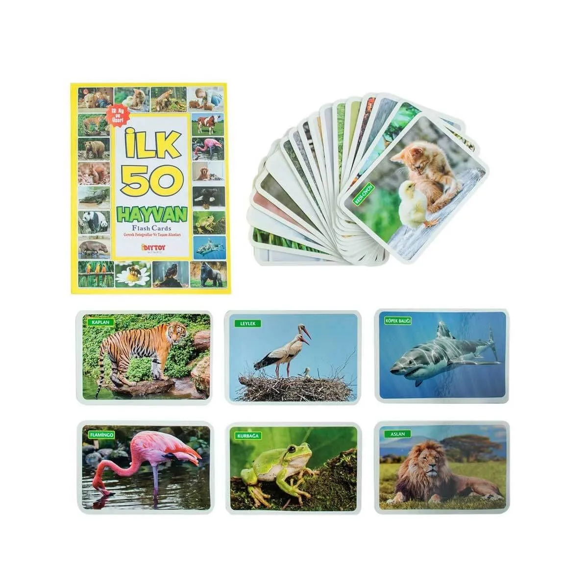 F.cards İlk 50 Hayvan — görsel 2